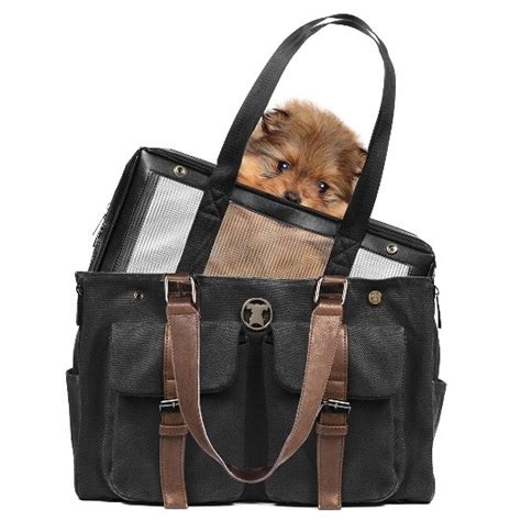 Best Designer Dog Carriers Reviews And Buying Guide 2022
