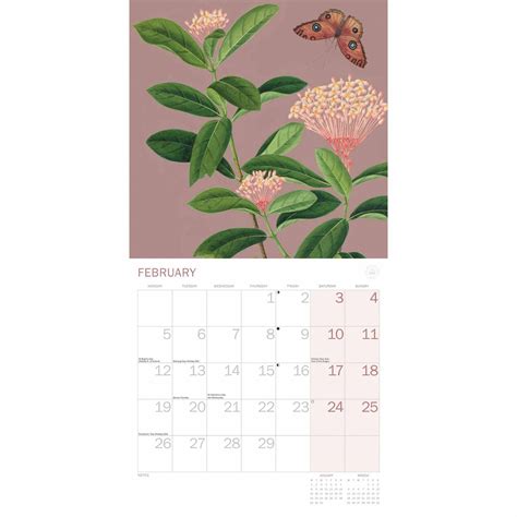 Royal Botanic Gardens Kew Floral Illustrated Wall Calendar 2024 240239