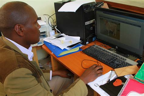 Online Jobs In Kenya That Pay Through Mpesa Nexin Startups