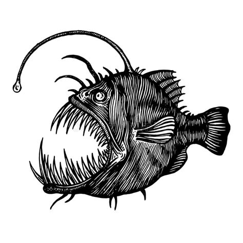 Angler Fish Lophiiformes Vector Illustration A Collection Of Fish