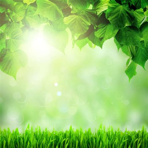 Natural Green Background Stock Photo By ©krivosheevv 18706163