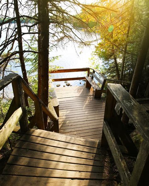 14 Boardwalk Trails In Ontario You Need To Add To Your Bucket List This