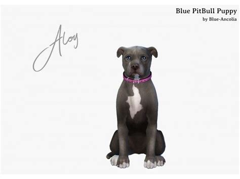 Aloy An Adorable Pitbull Puppy By Blue Ancolia Pitbull Puppy Sims 4