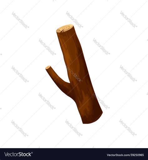 Driftwood Log Isolated Brunch Of Dry Bare Tree Vector Image