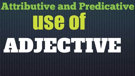Attributive And Predicative Use Of Adjectives English Grammar For