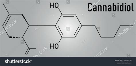 cannabidiol cbd cannabis molecule has antipsychotic stock vector royalty free 2102521180
