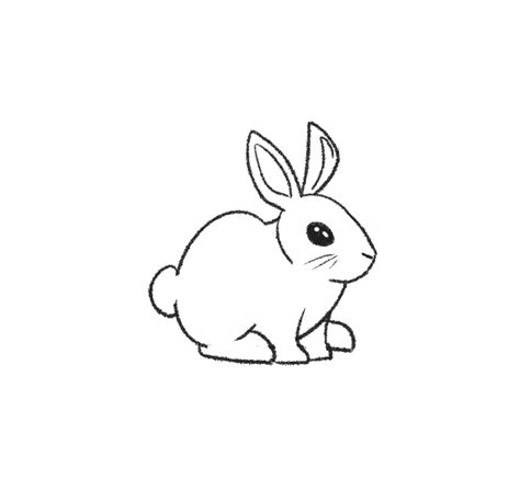How To Draw A Cute Bunny 12 Easy Steps Jae Johns