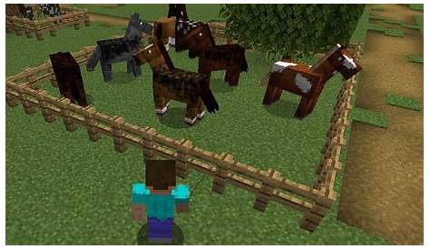 what can you feed horses in minecraft