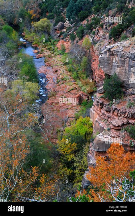 Beautiful Fall Colors In Oak Creek Canyon Of Sedona Arizona Stock