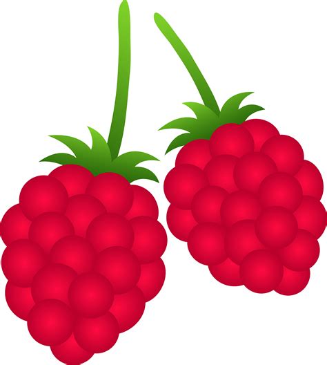 Berries Clipart Raspberry Berries Raspberry Transparent Free For