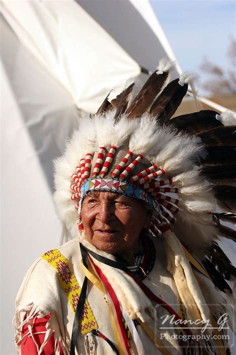 white wolf lakota traditional people celebrated in beautiful photo series by nancy g