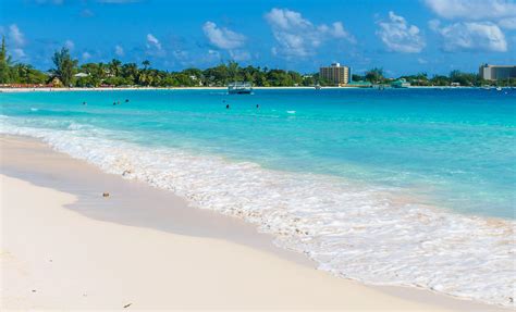 beach bum day barbados shore excursions caribbean cruise tours