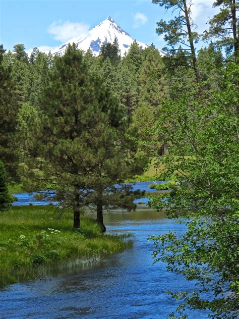 Next Horizon Hunt For The Headwaters Metolius River Or