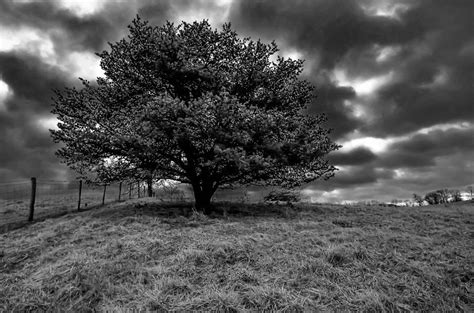 Coming Storm Photograph By Brian Stevens Fine Art America