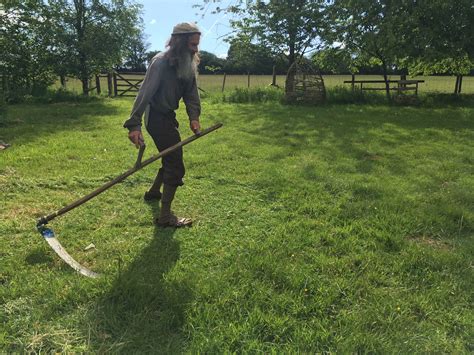Mowing A Lawn With A Scythe Scythe Cymru