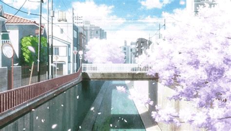 Aesthetic Night Cherry Blossom Anime  Animated Cherry Blossom Tree