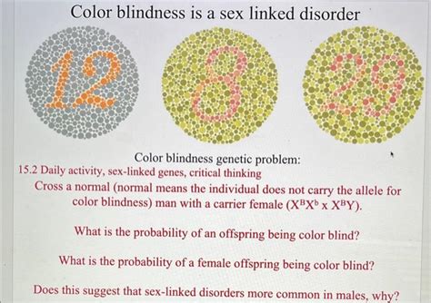 Solved Color Blindness Is A Sex Linked Disorder Color