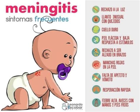 La Meningitis Babycenter