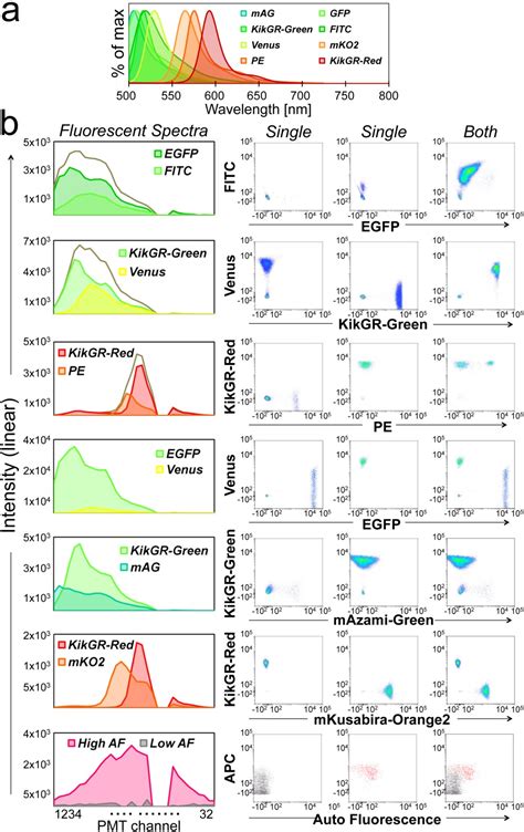 Novel Full‐spectral Flow Cytometry With Multiple Spectrally‐adjacent