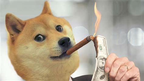 Coinbase, elon musk, and twitter are the fuel to the current doge rocket. Elon Musk Trolls Bitcoin on Twitter and Pumps Dogecoin by ...