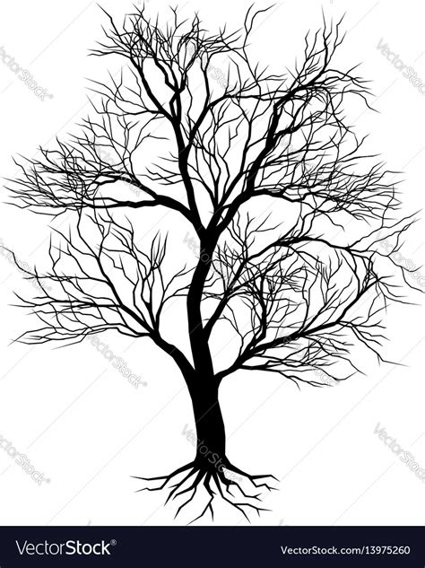 Hand Drawn Old Tree Silhouette Royalty Free Vector Image