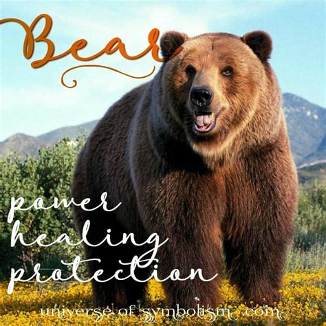 Bear Symbolism And Bear Meaning Bear Spirit Animal Myth