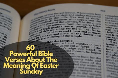 60 Powerful Bible Verses About The Meaning Of Easter Sunday