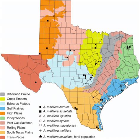 Map Of Texas Showing Goulds Ecoregions And Apiaries Sampled For Apis