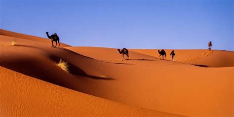 Morocco Sahara Desert Map Tips And Ideas For Your Visit The Gap Decaders