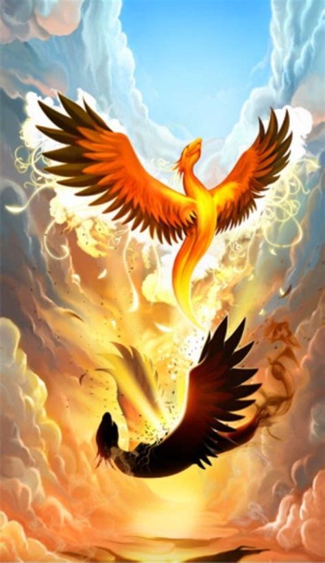 From The Ashes Rises The Phoenix Phoenix Artwork Phoenix Tattoo