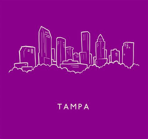 Tampa Bay Skyline Cartoons Illustrations Royalty Free Vector Graphics
