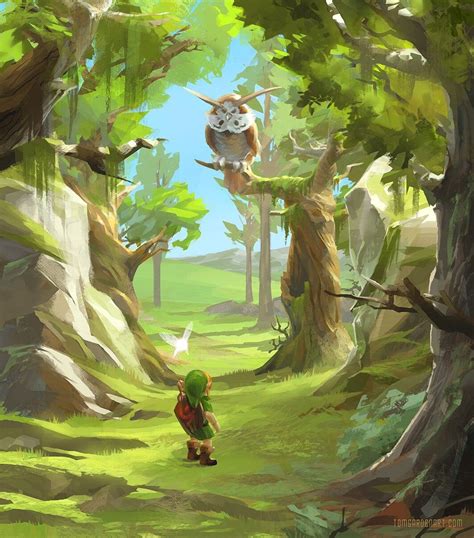 Legend Of Zelda Ocarina Of Time Art Link Enters Hyrule Field Owl