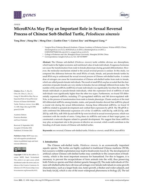 pdf micrornas may play an important role in sexual reversal process of chinese soft shelled