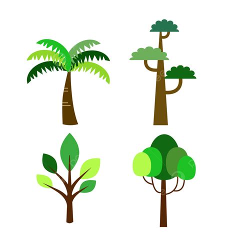 شجرة الحديقة شجرة بابوا نيو غينيا شجرة الرسوم التوضيحية شجرة التوضيح