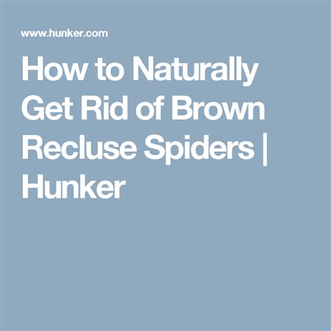 How To Naturally Get Rid Of Brown Recluse Spiders Hunker Ingrown Hair