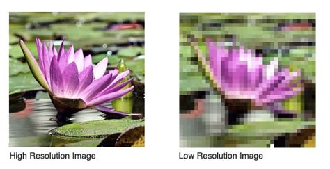 How Big Is Best Artwork Tip For Image Resolution Avenue Printing