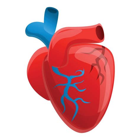 Biology Human Heart Icon Cartoon Style 14224521 Vector Art At Vecteezy