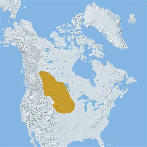 Map Northern Plains Culture Area 