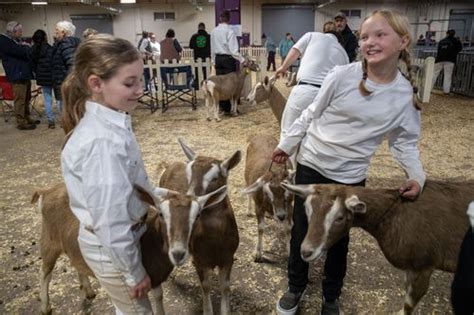 Goats Rams And Chickens Pack Them In On Day Of The Farm Show Photos Pennlive Com