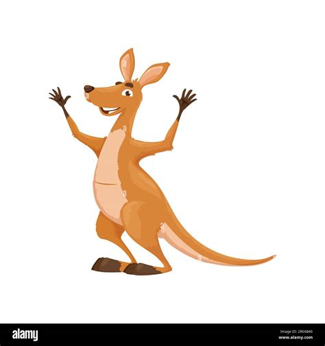 Cartoon Happy Funny Kangaroo Character Australia Fauna Cheerful