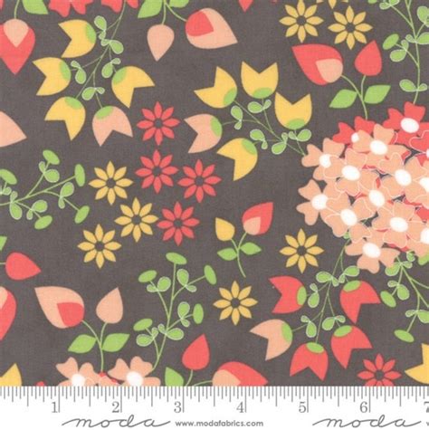 Sundrops 1 12 Yard Cotton Fabric By Corey Yoder For Moda
