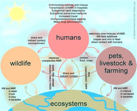 The One Health approach: the concept that the health of ...