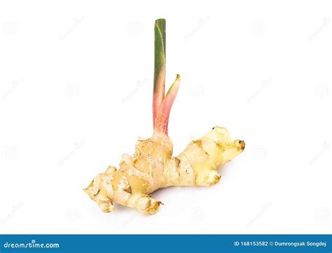 Fresh Ginger Root With Stem Isolated On White Background Stock Photo