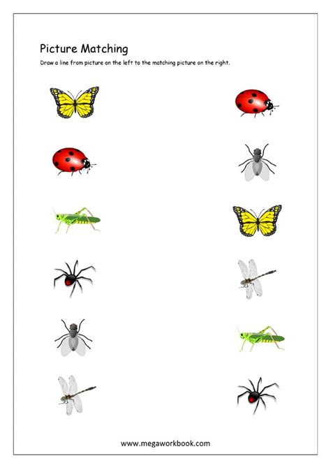 Picture matching worksheets for preschool