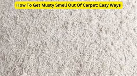 How To Get Musty Smell Out Of Carpet Easy Ways