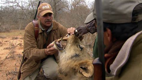 A New Television Channel Dedicated To Hunting Wild Animals Has Launched