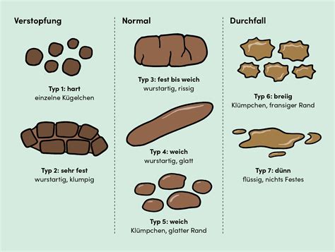 Stuhlgang Was Ist Normal Ibedex