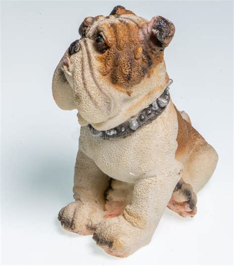 Includes big dogs that don't shed, medium and hypoallergenic dogs are dog breeds that don't shed much or they are hairless. Miniature Depicting An English Bulldog Stock Photo - Image ...
