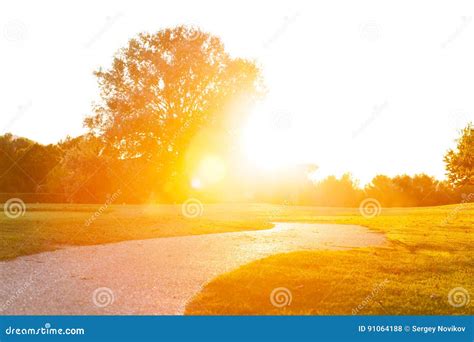 Lane Running Through Park Under Sunset Sunbeams Stock Photo Image Of
