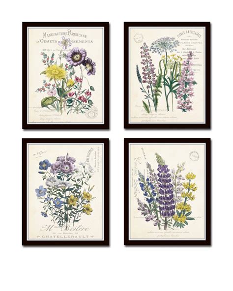 Botanical Collage Botanical Floral Prints Vintage Botanical